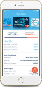 Mobile Wallet UI Design Credit Card Details